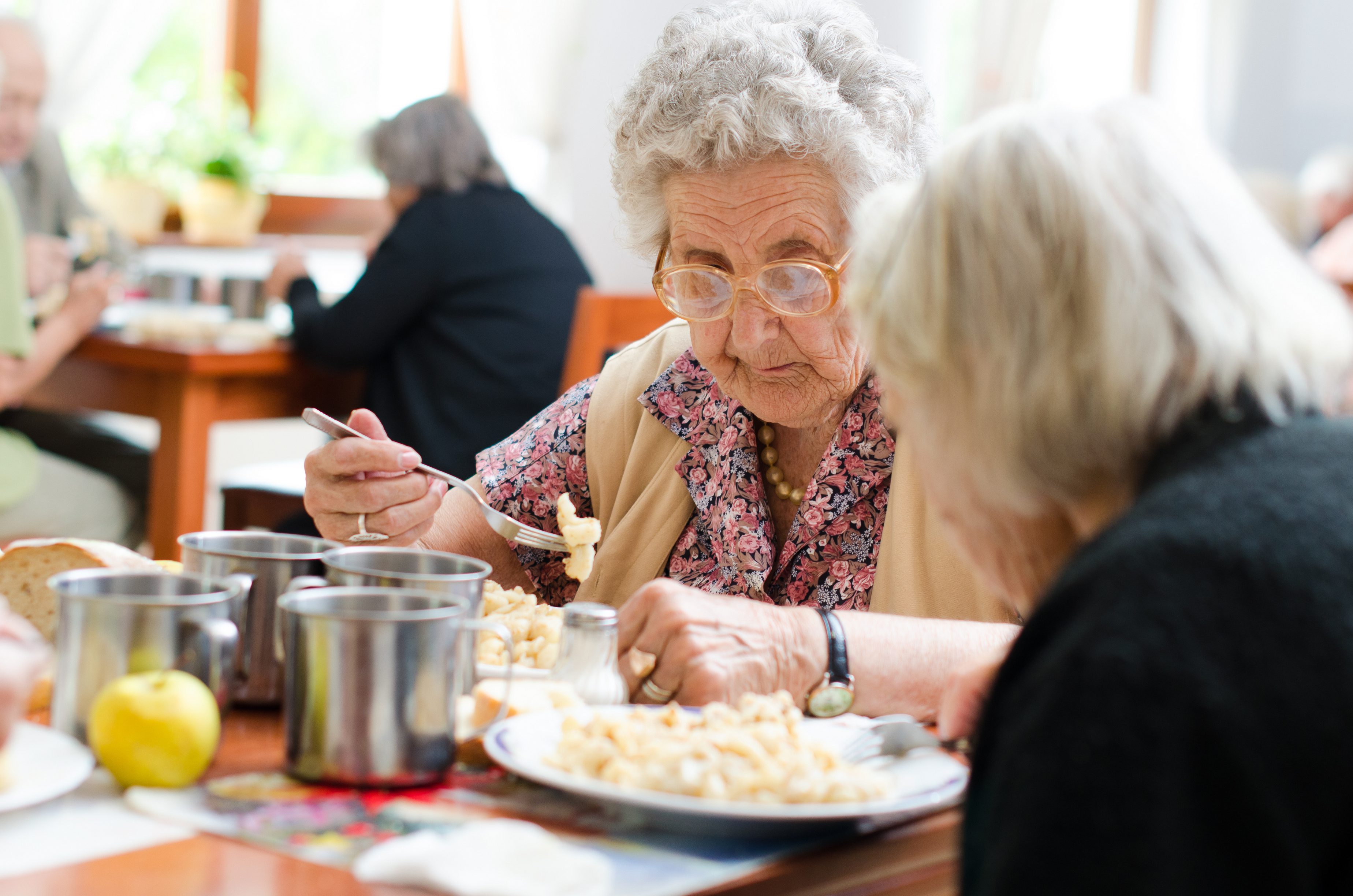 elderly-food-safetyculture-blog