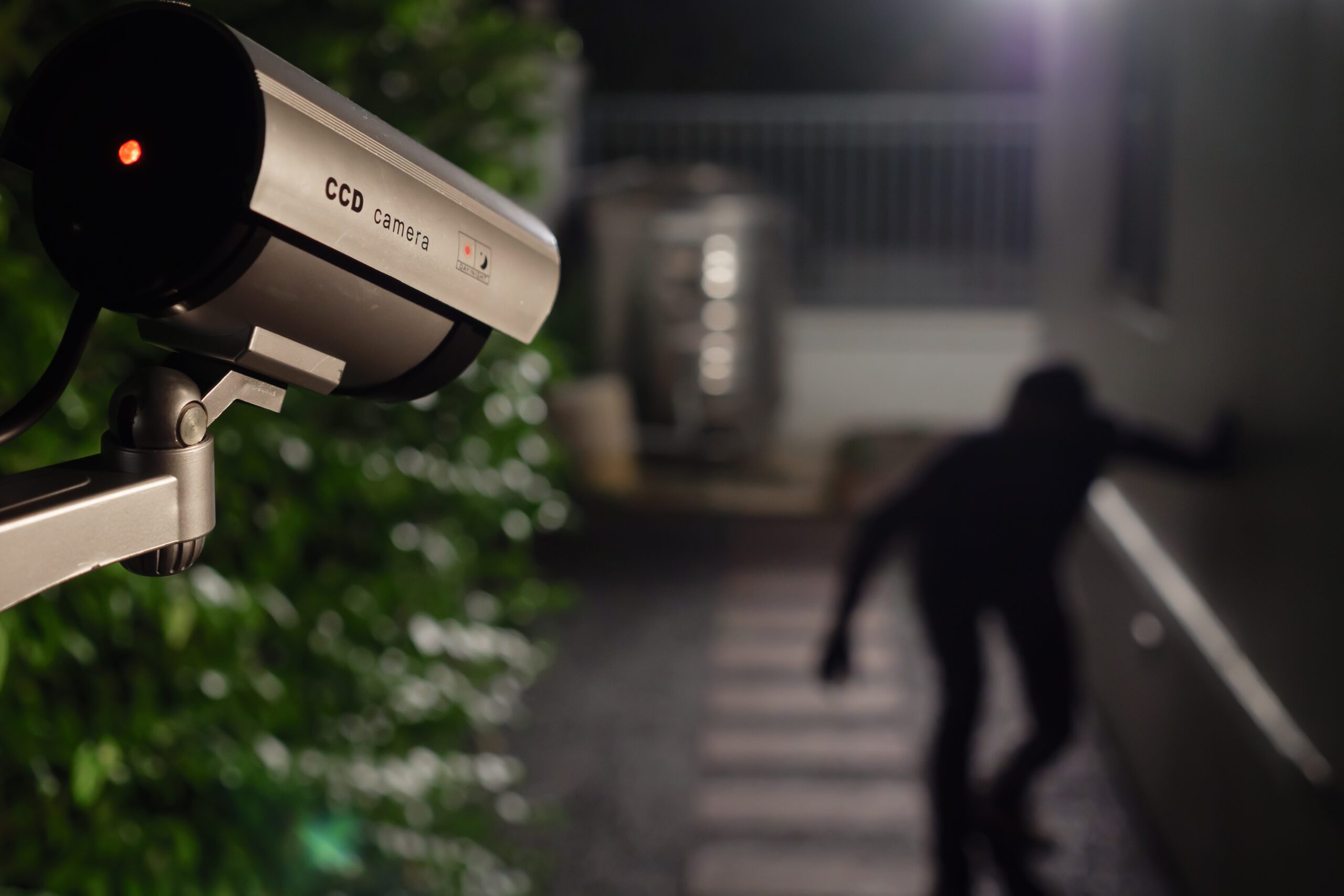 Security camera surveillance catching an intruder